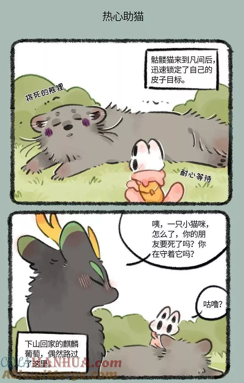 752 骷髅猫的一生之敌3