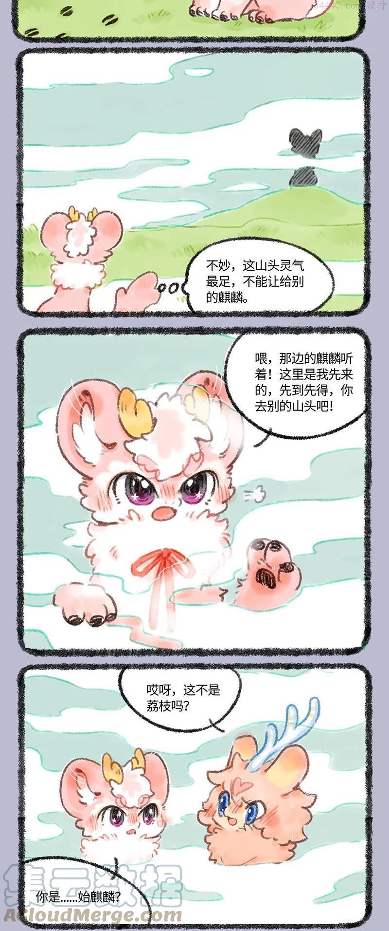 536 冷酷一姐小荔枝1