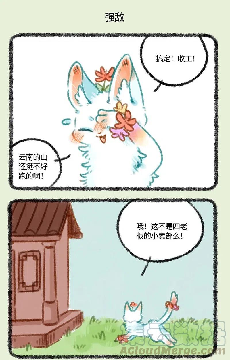 290 小山雀遇到了对手4
