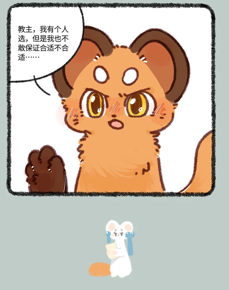 881 吐宝集团新主播2