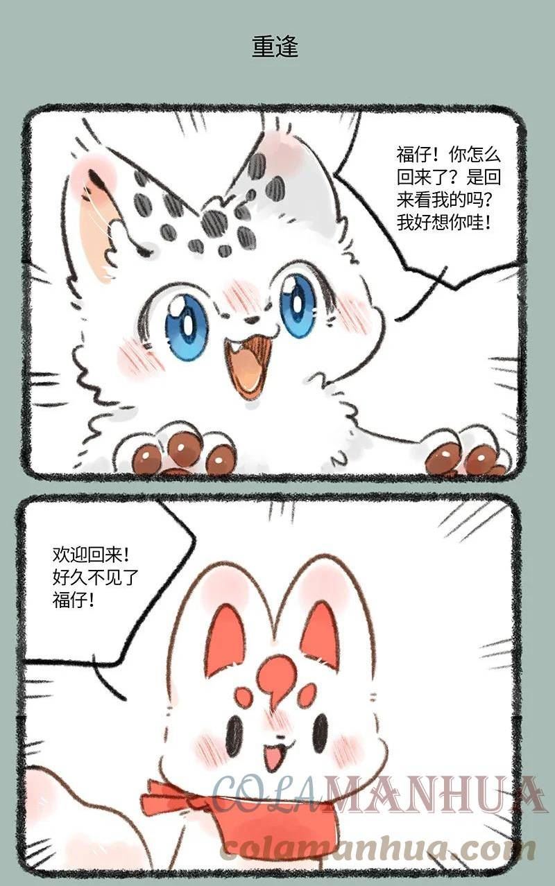 715 福仔回来啦4