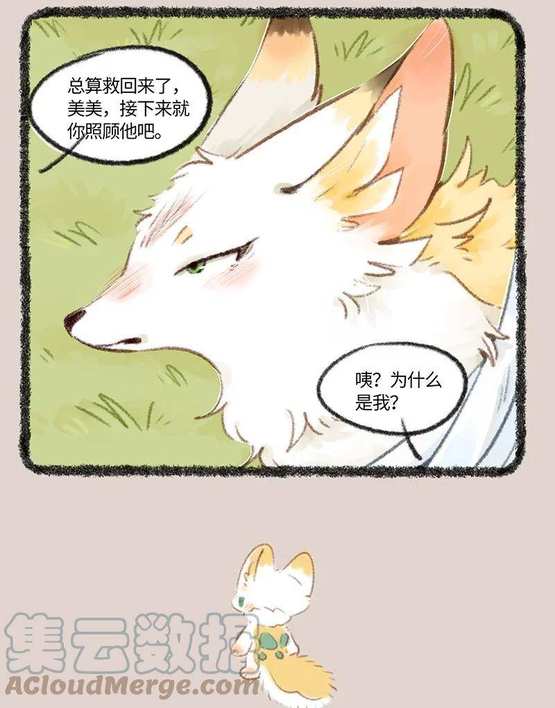 729 乘黄幼崽2