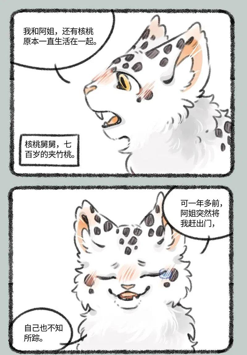 387 核桃要走了1