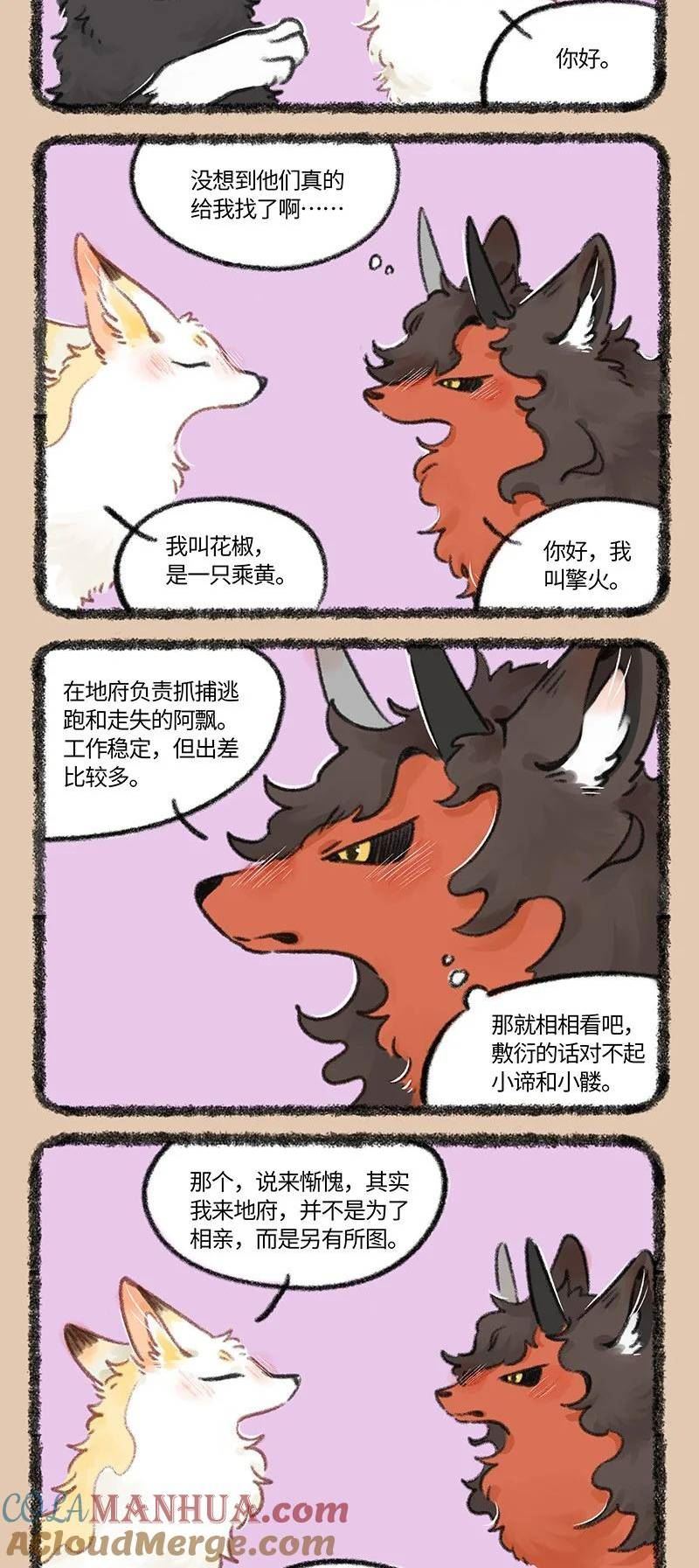 767 花椒的过去1