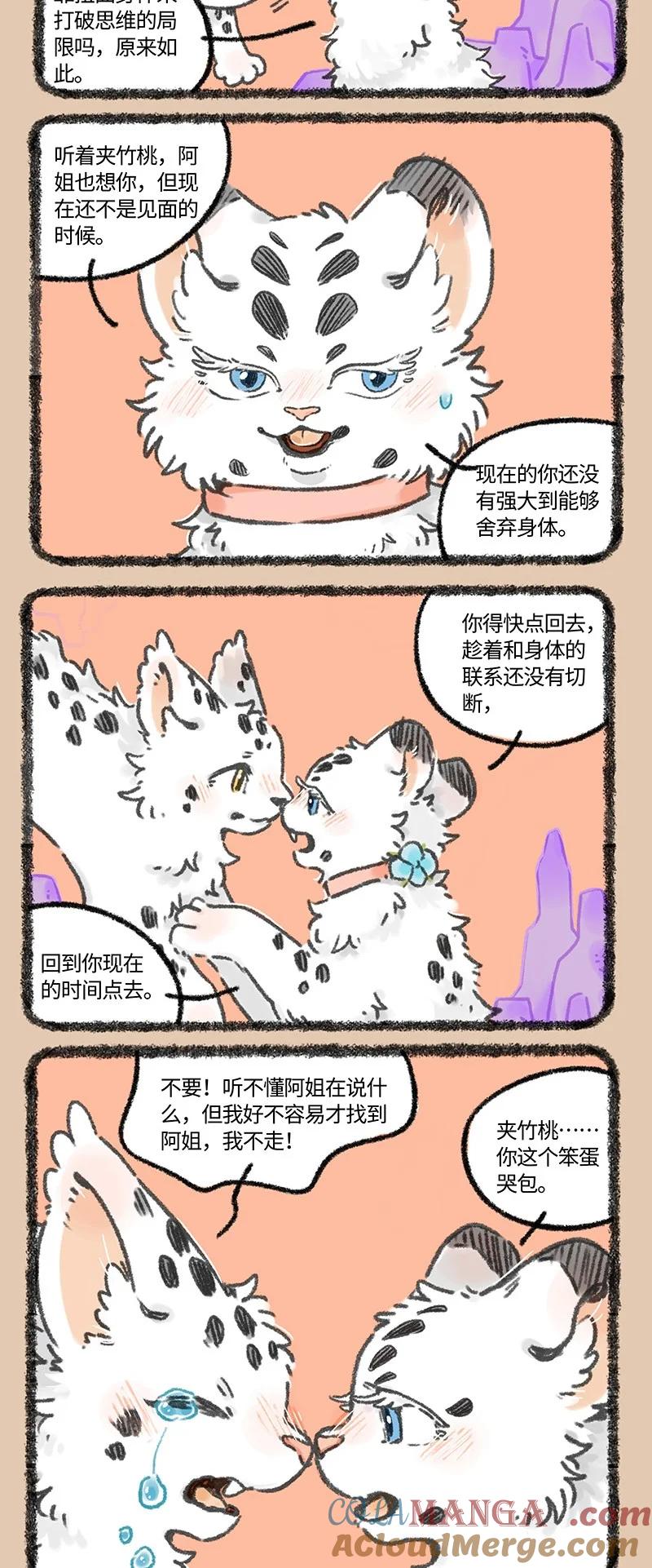 972 孟极篇之笨蛋弟弟1