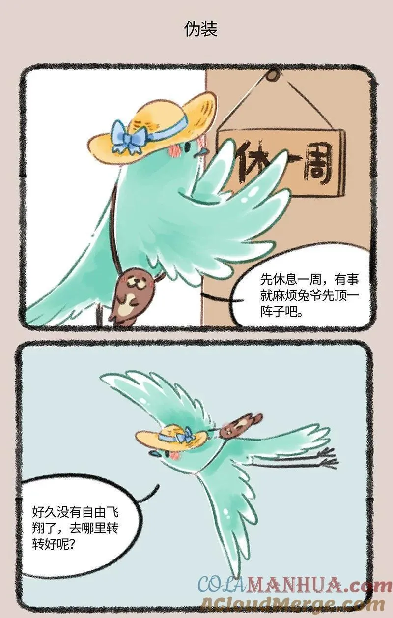 805 花蕊鸟的伪装3