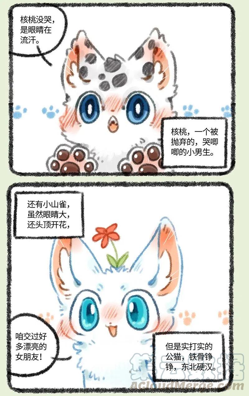 294 他她2