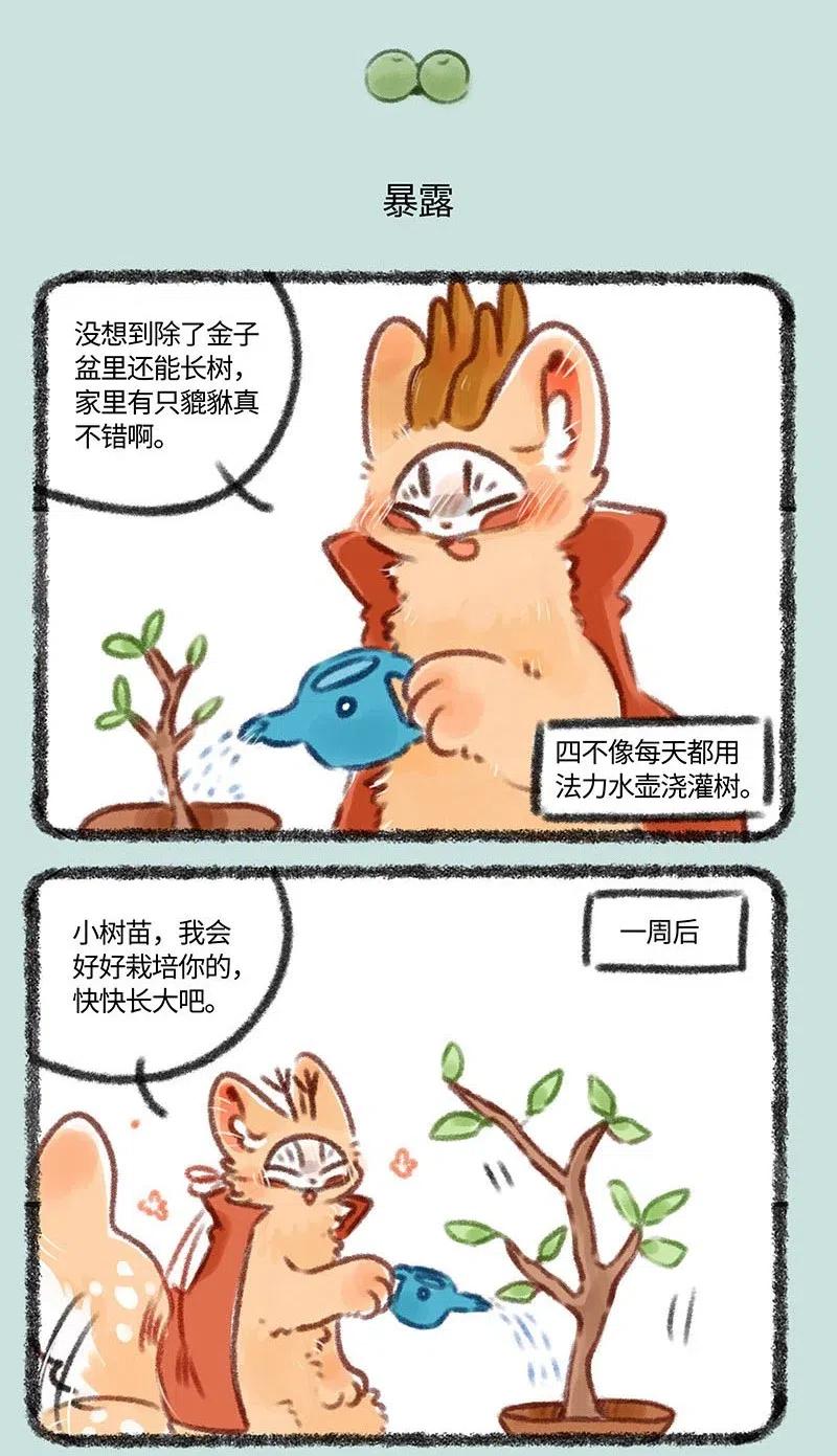 358 伪造3