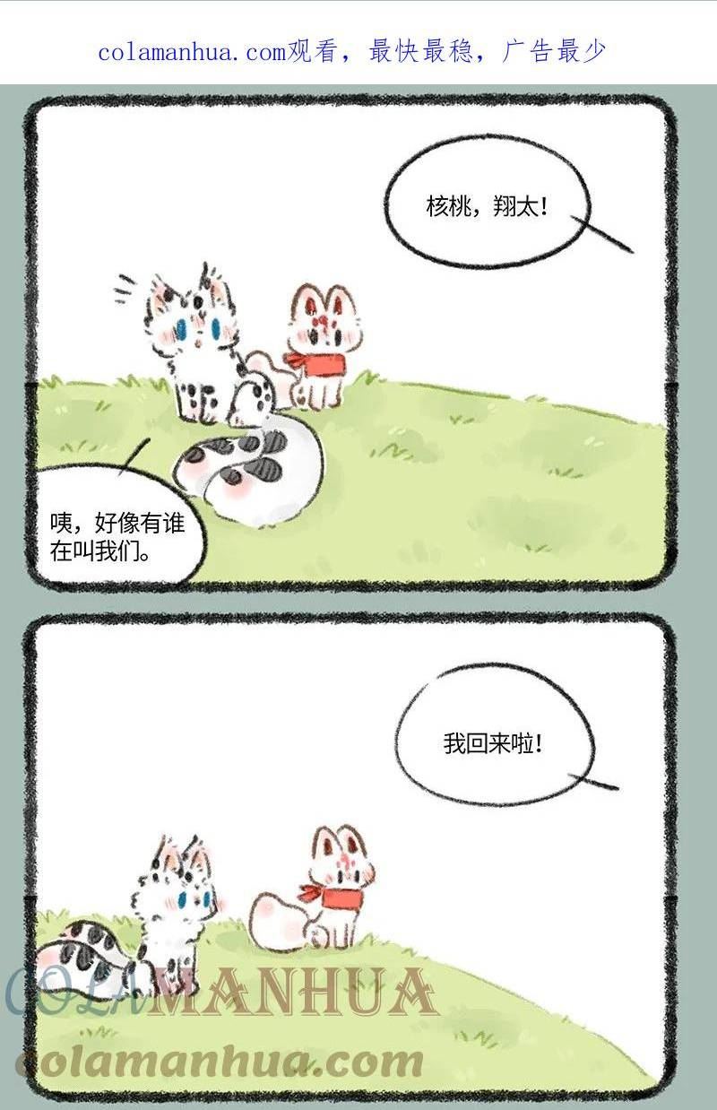 715 福仔回来啦2