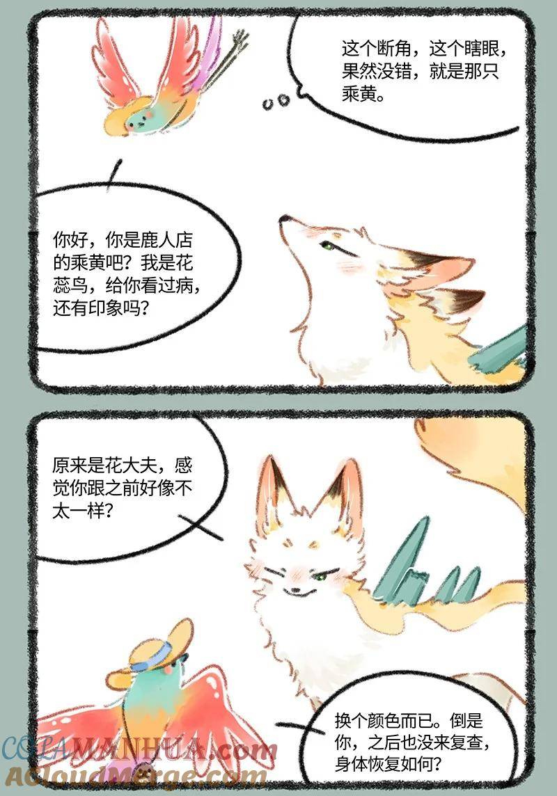 806 治愈花椒1