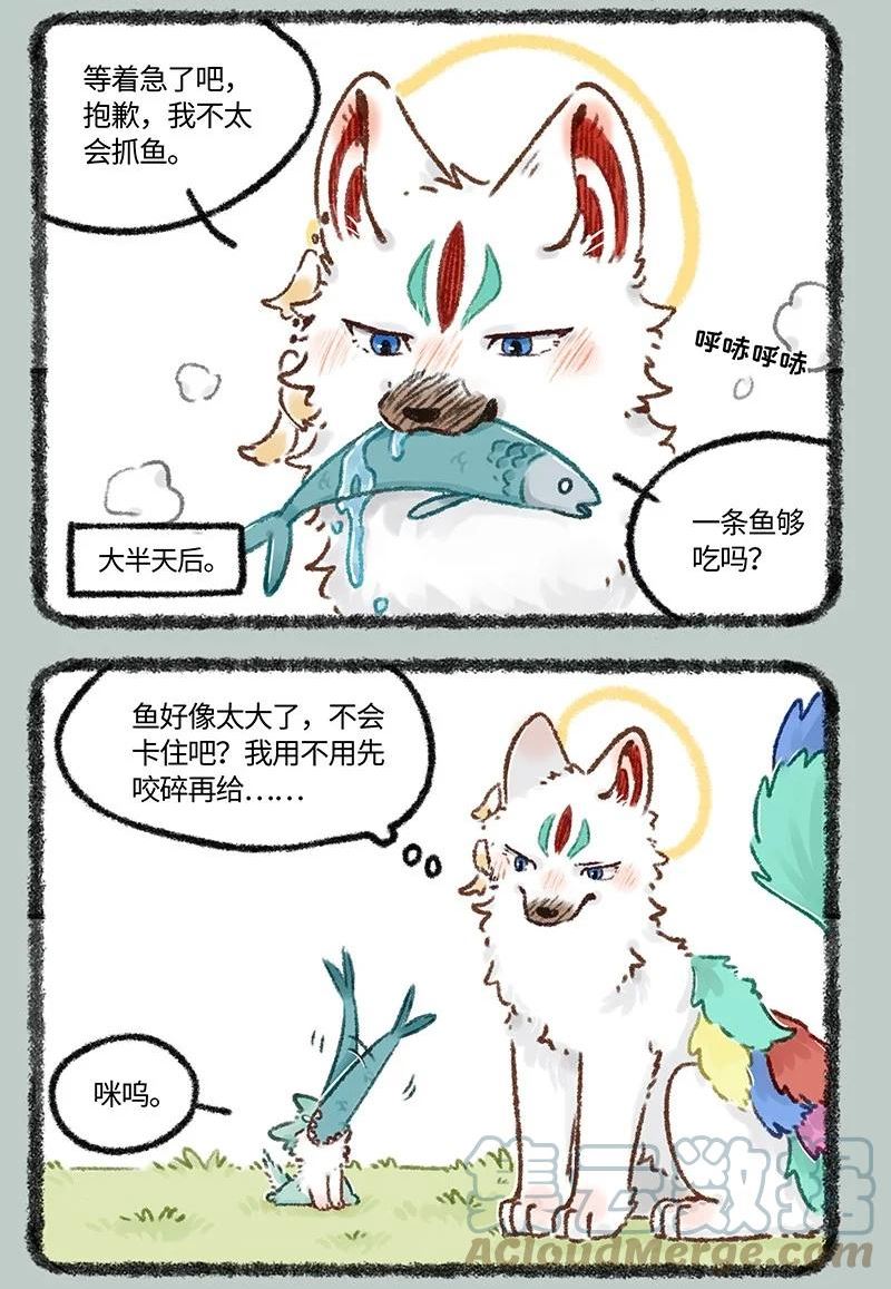 626 毛毛的成长日记2