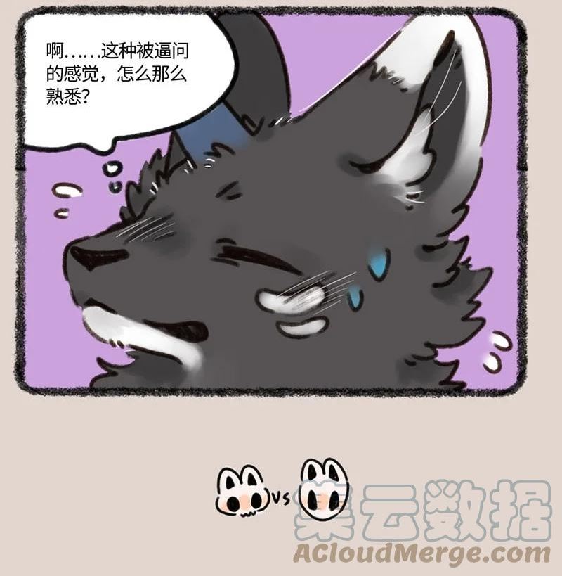 689 假的真不了3