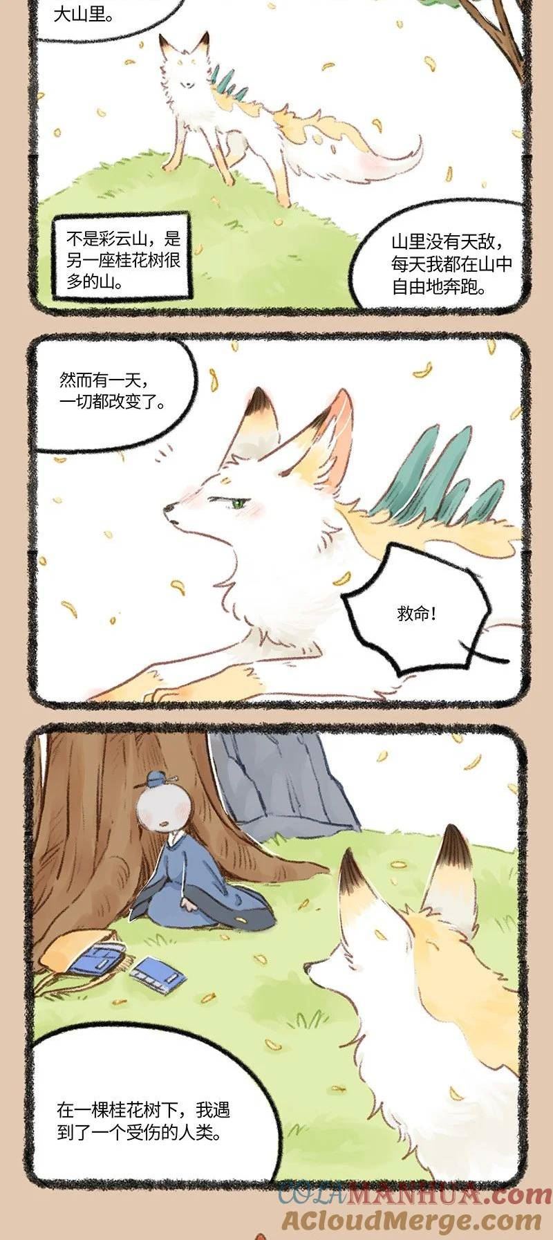 767 花椒的过去3