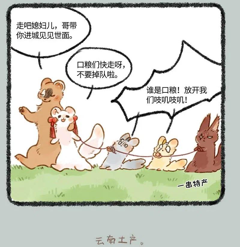 247 警惕黄鼠狼3