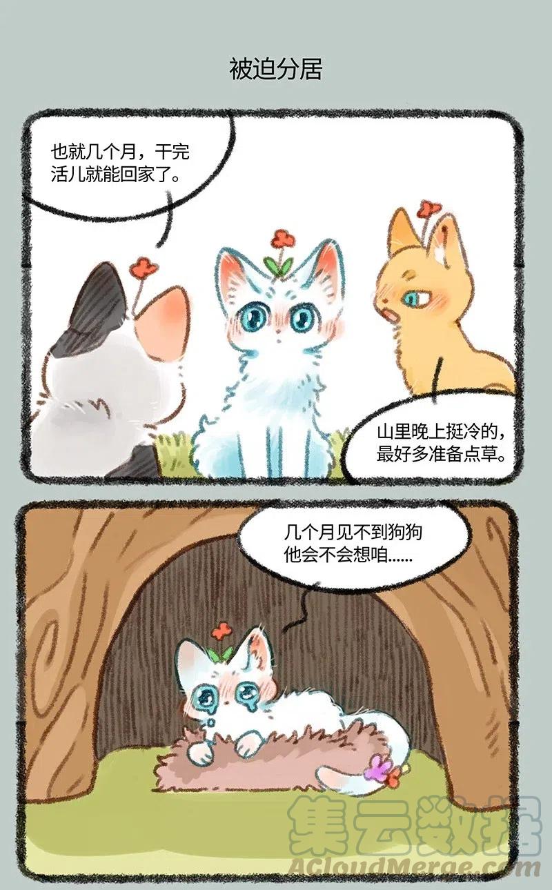 439 被迫分居4
