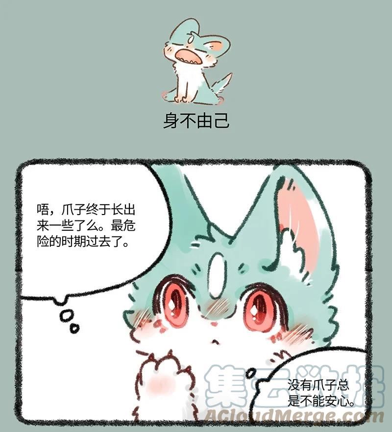 633 猫猫有爪初长成3