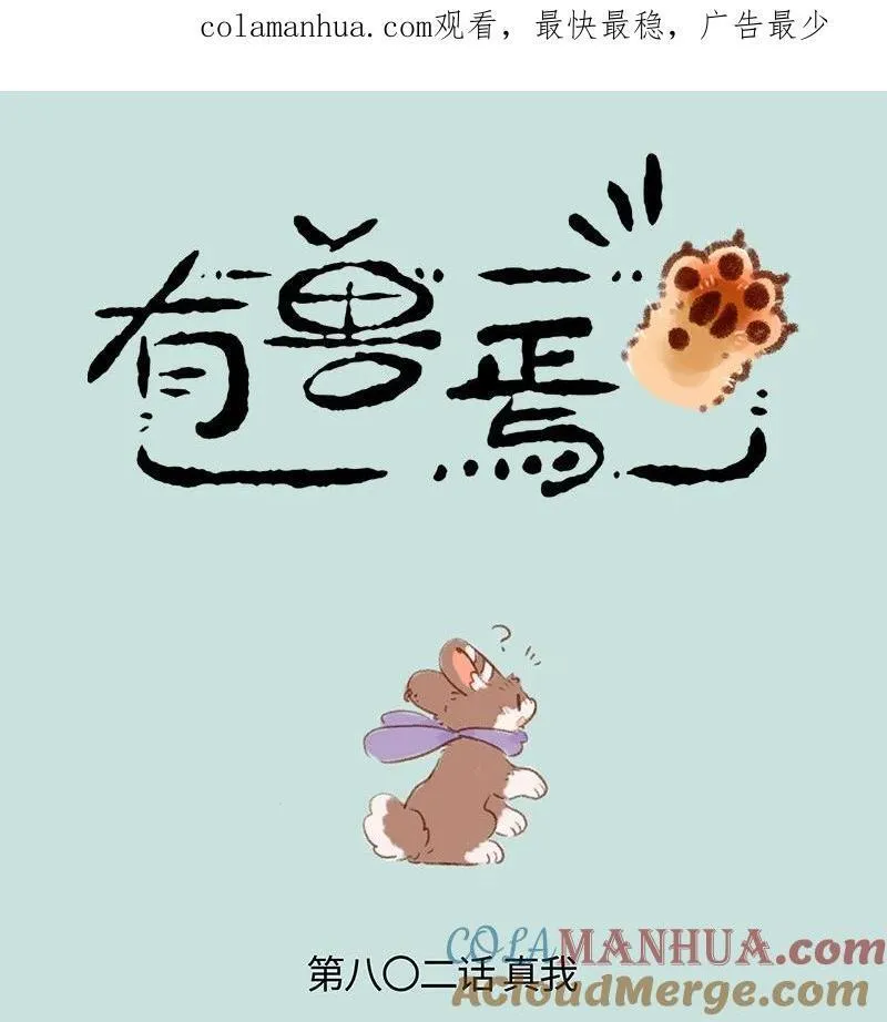 802 真正的模样0