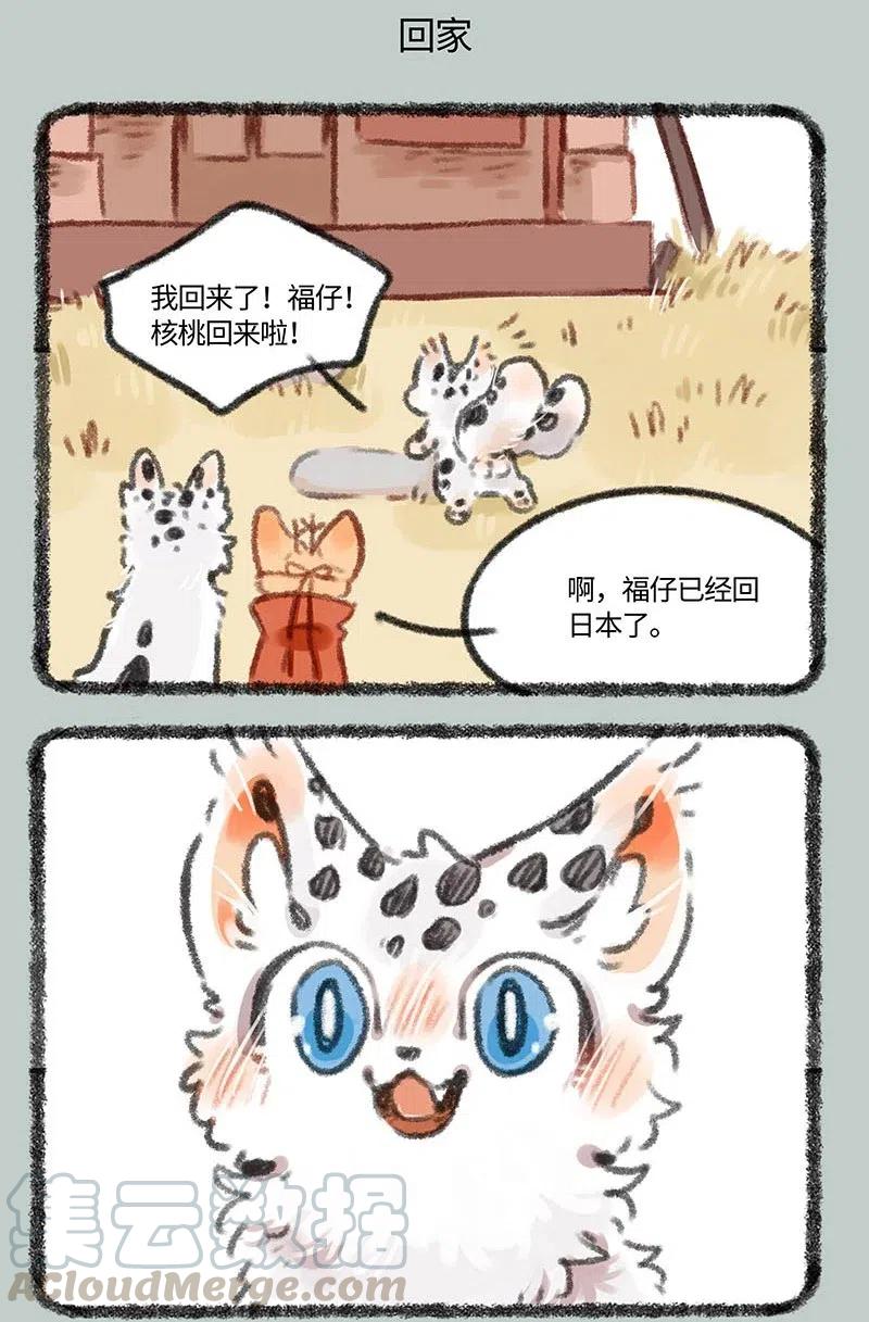 401 四不像身份4