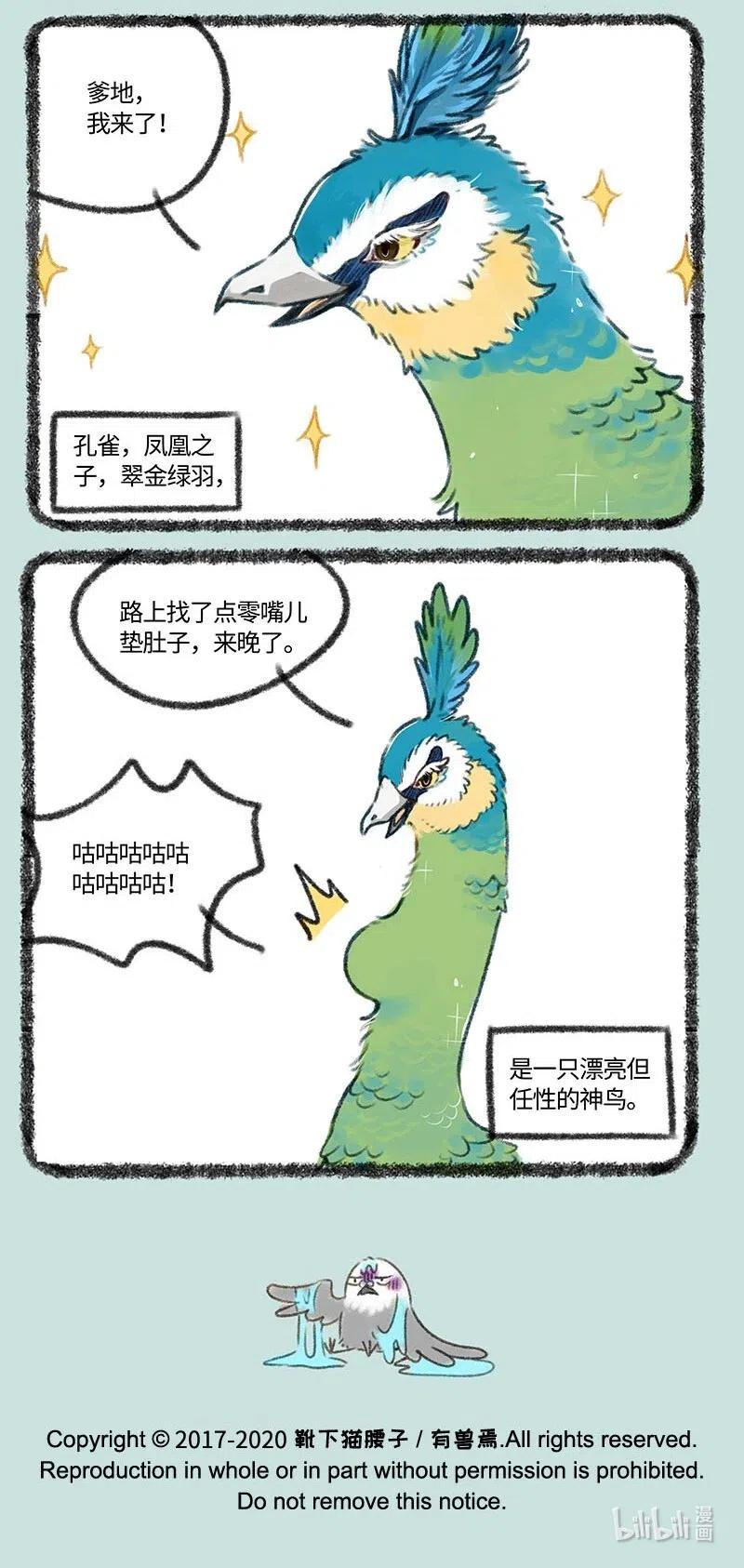 402 孔雀来访4