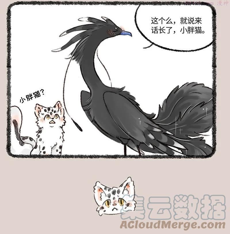 527 孟极篇之风凰的噩梦3
