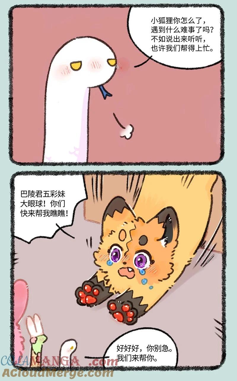968 美美皮登场2