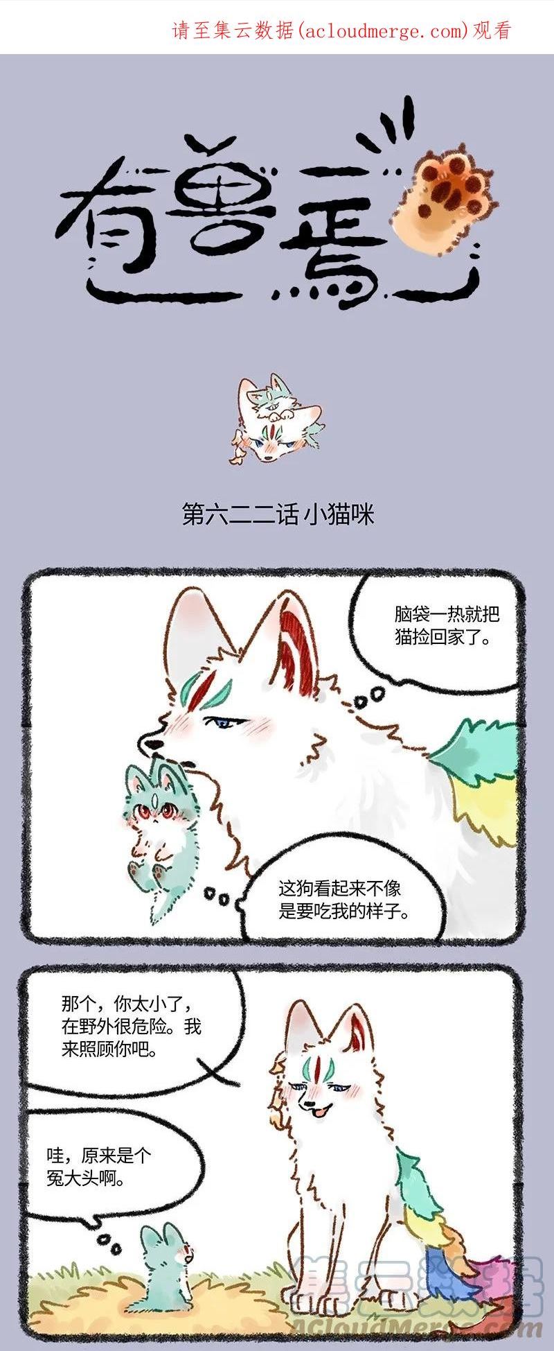 622 猫猫的骗局1