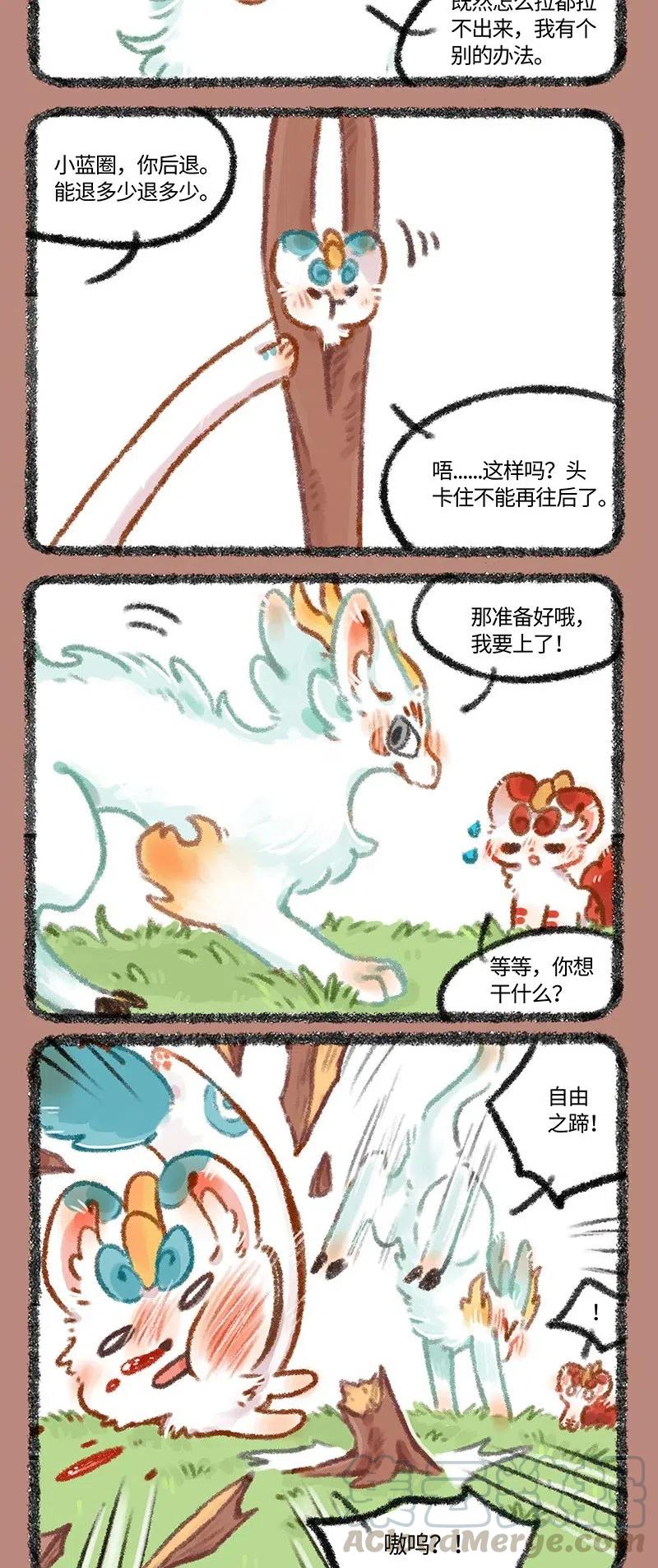 455 中古篇之治愈的口水0