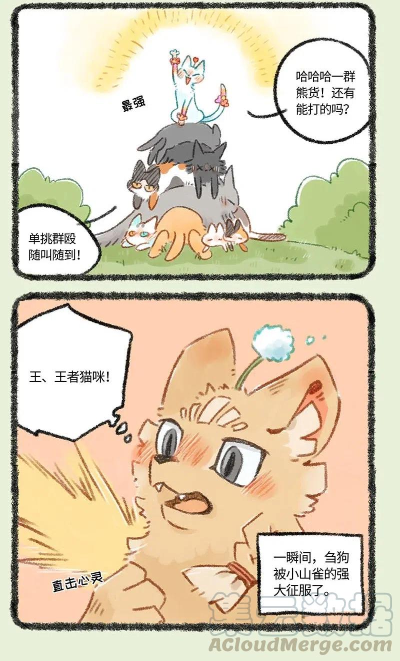 273 新来王者1