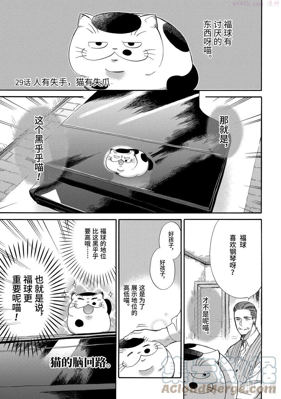 29 人有失手，猫有失爪0