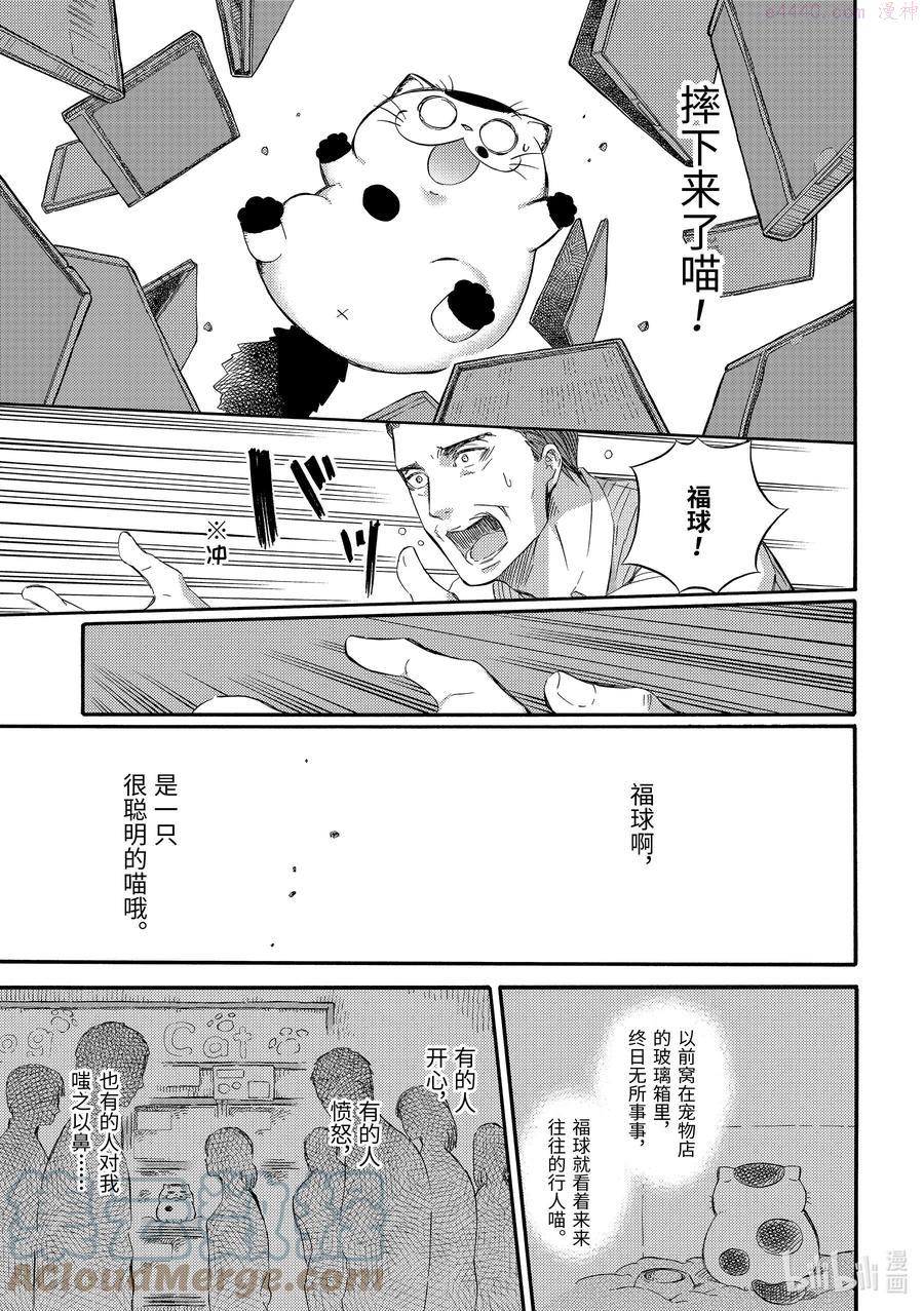 29 人有失手，猫有失爪2