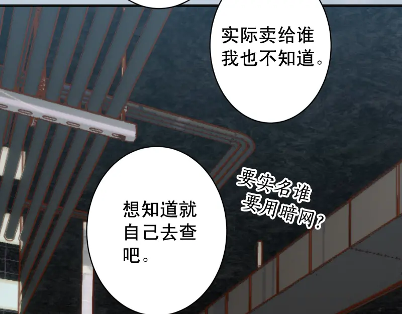 第385话 诱饵1