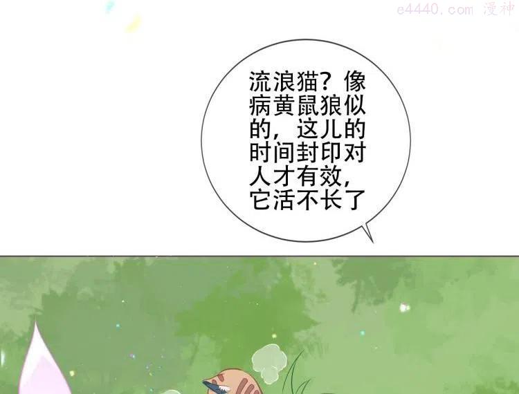 番外 无夜城的一只猫0