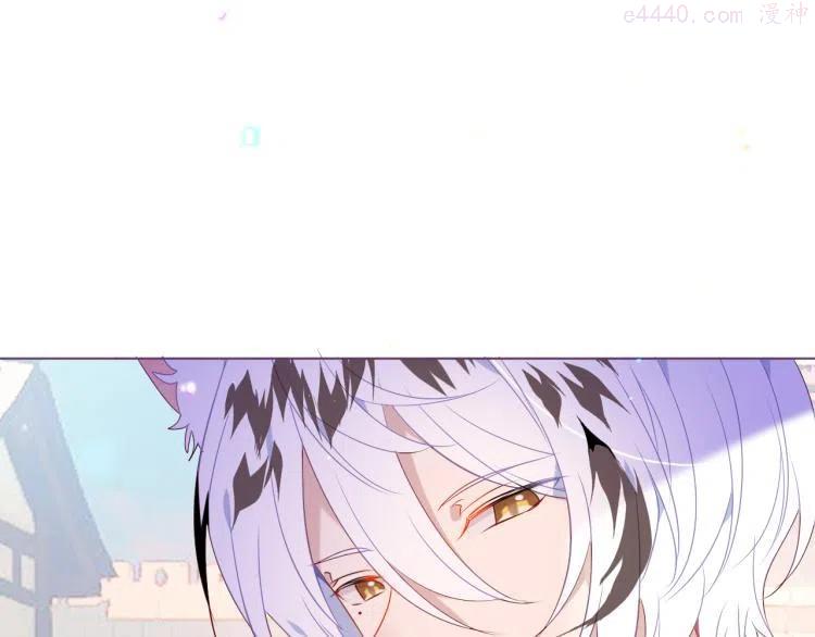 番外 无夜城的一只猫0