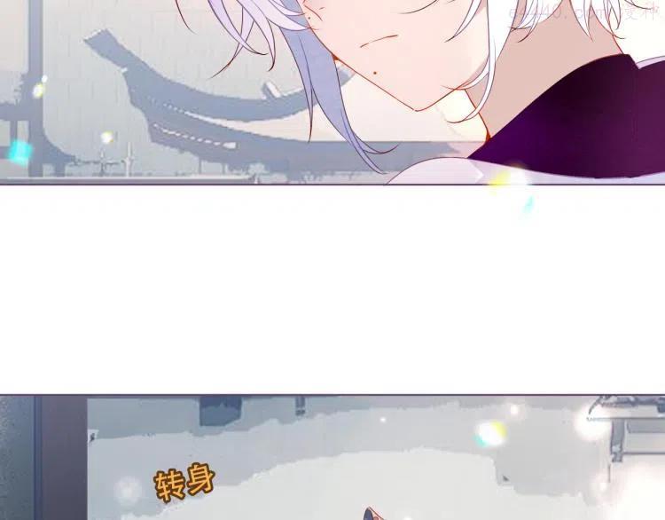 番外 无夜城的一只猫1