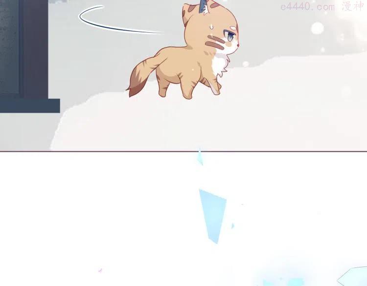 番外 无夜城的一只猫2