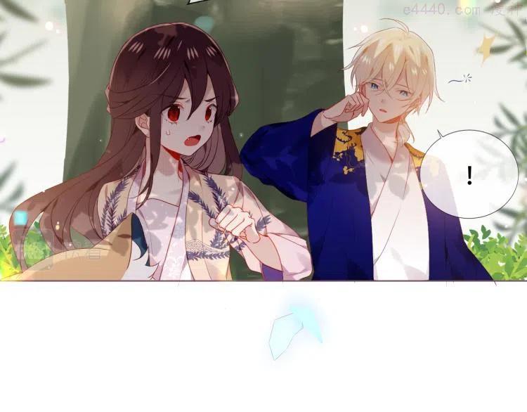 番外 无夜城的一只猫0