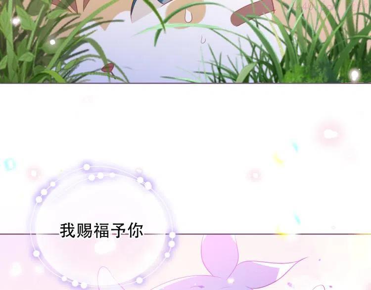 番外 无夜城的一只猫2