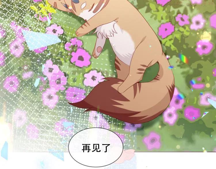 番外 无夜城的一只猫3