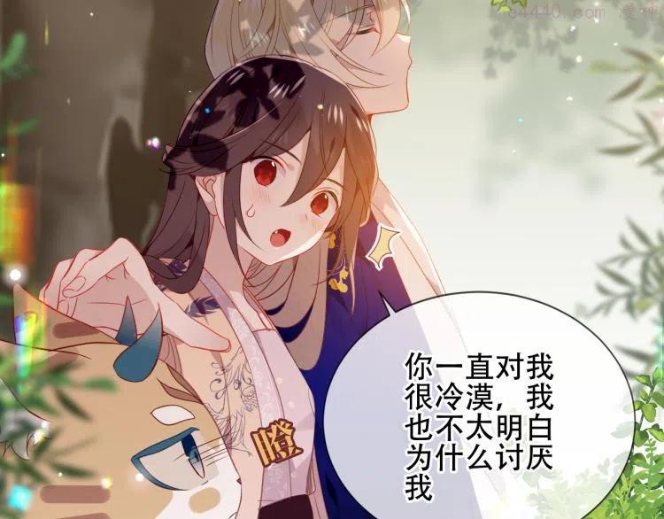 番外 无夜城的一只猫2