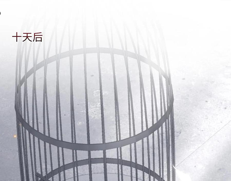 第72话 试探王洋4