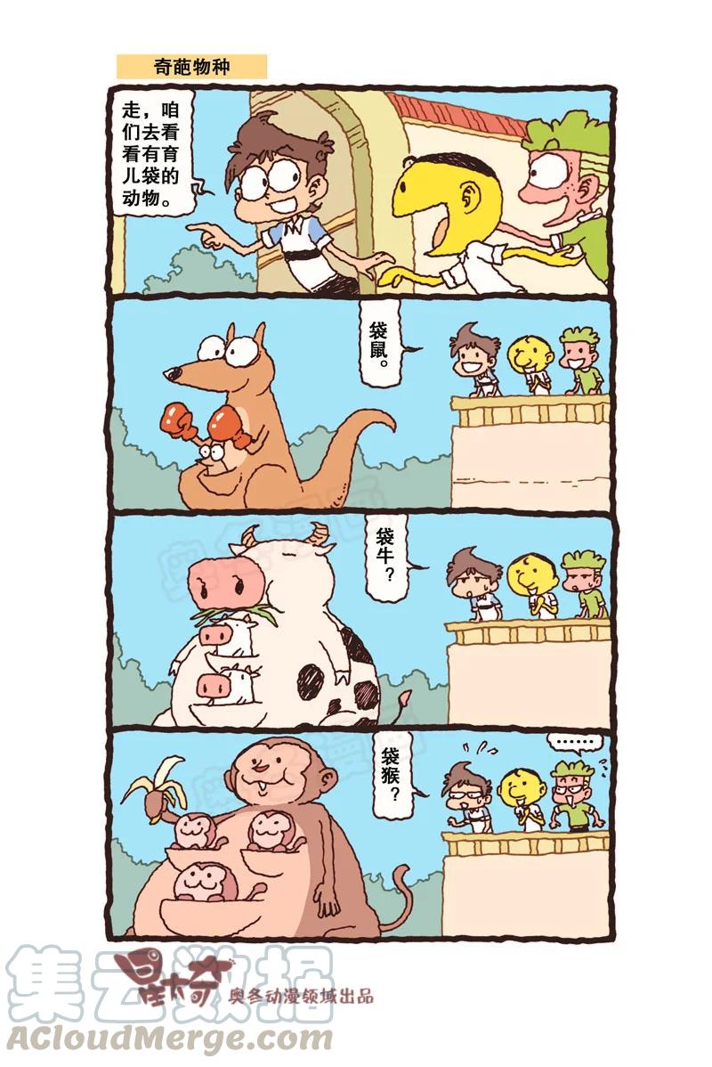 星之312 钱只够一个人的，怎么办？3