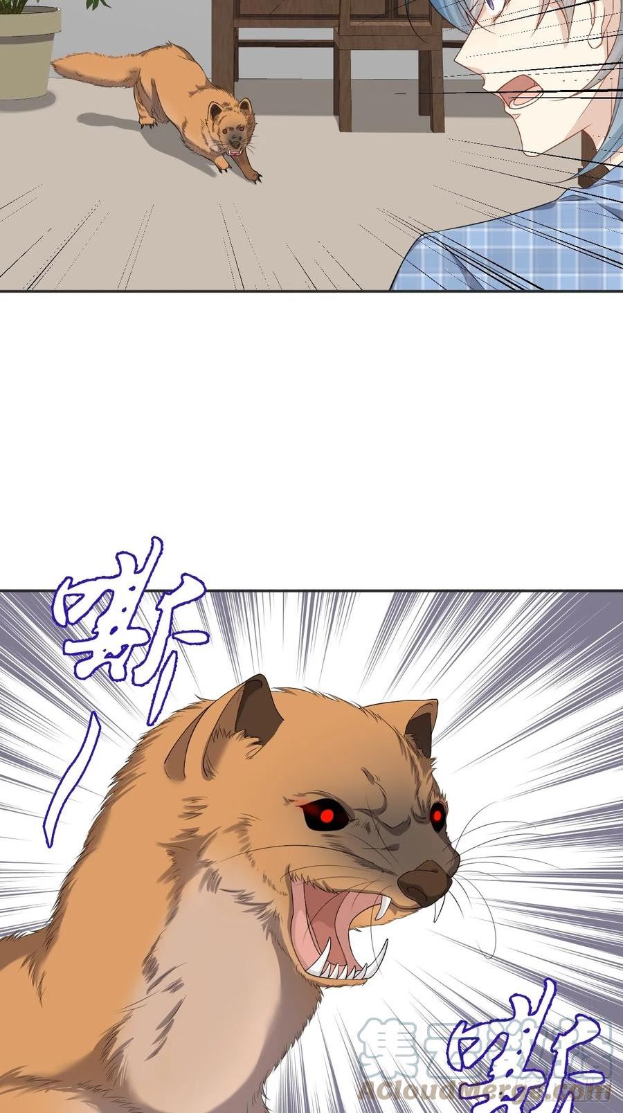 第179话 黄鼠狼4