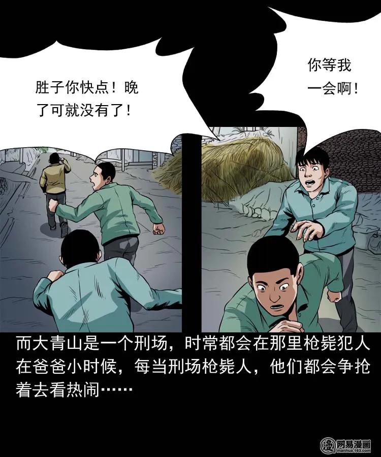 178 发夹2