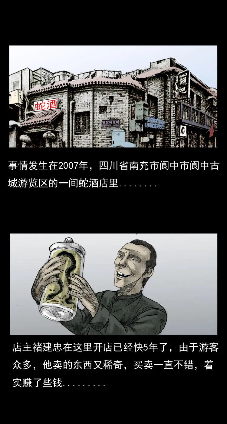 5 活蛇酒1