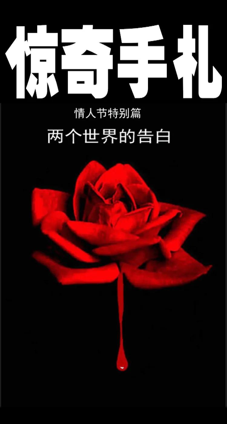 9 情人节特别篇-两个世界的告白0