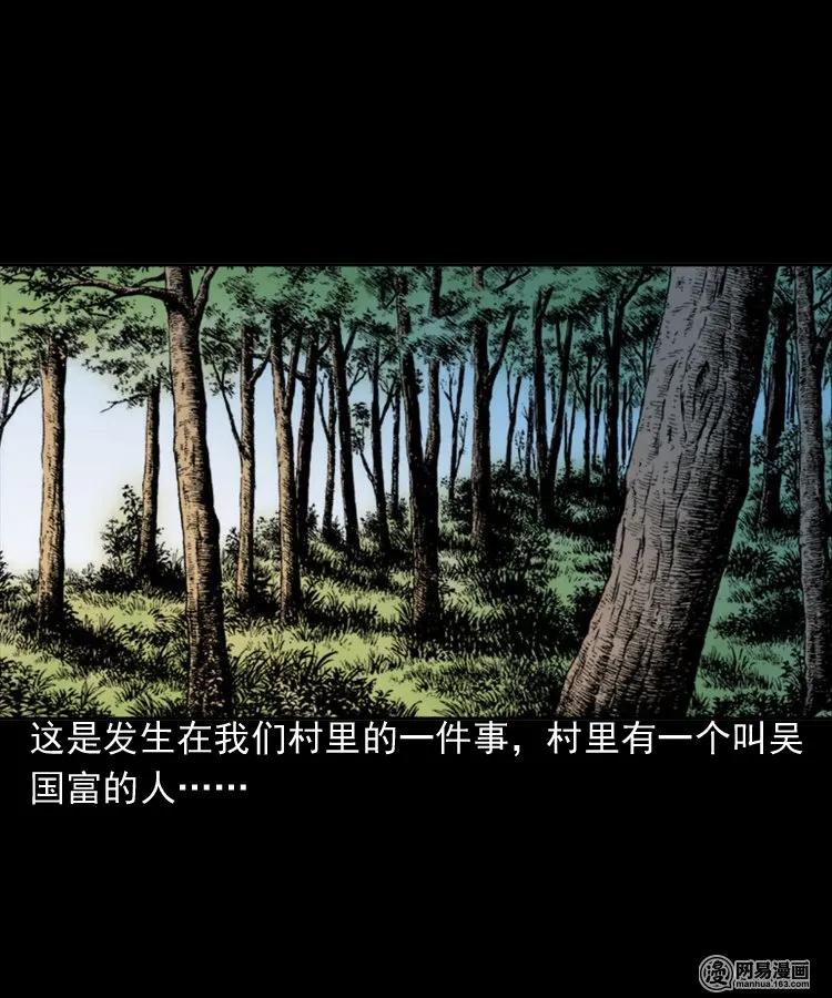 168 刺猬1
