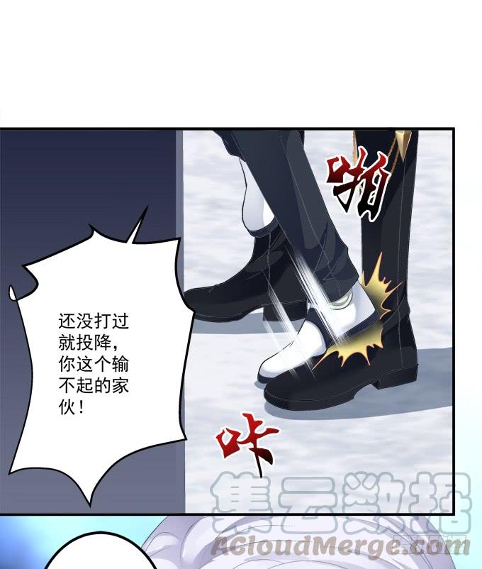 这是谁家的小猫咪？！2