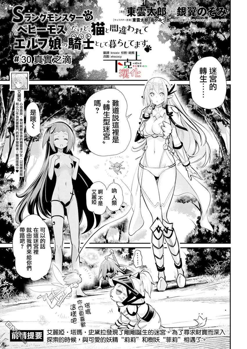第30话 真实之滴0