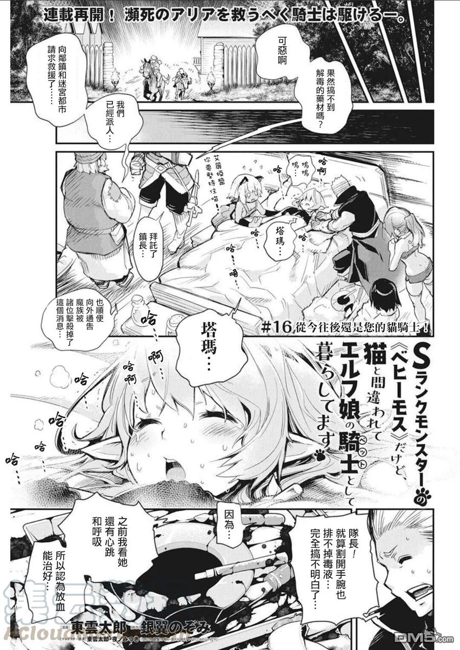 第16话 从今往后还是您的猫骑士！0