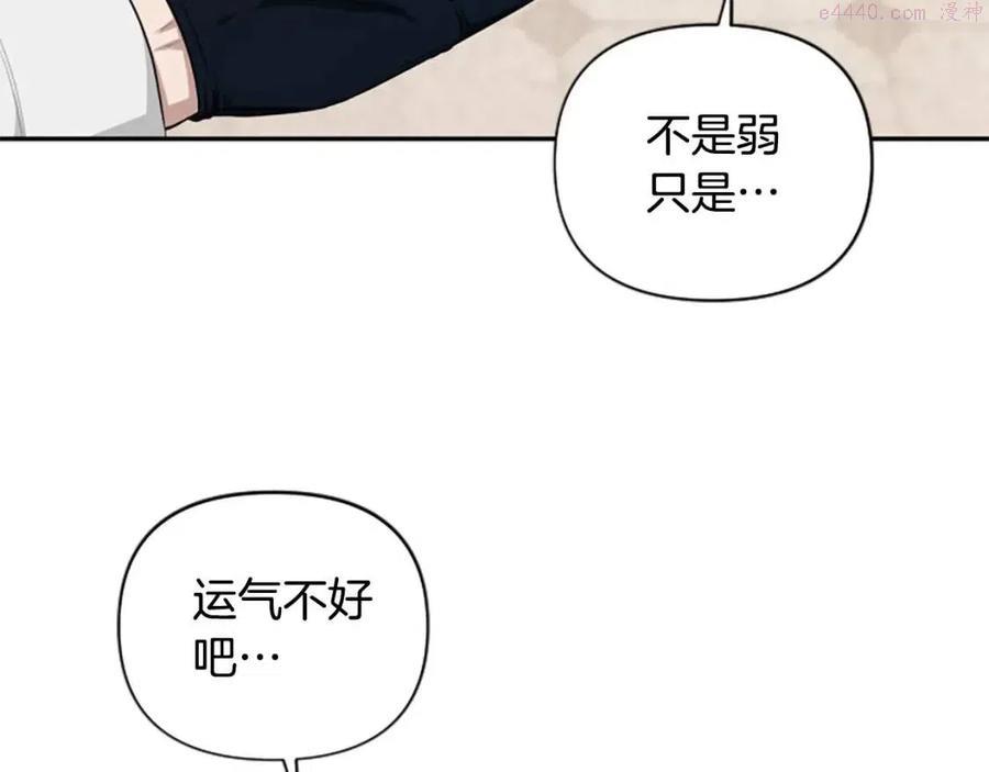 第38话 美丽狮鹫1